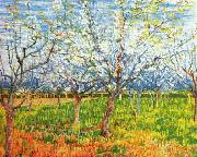 Vincent Van Gogh Orchard in Blossom painting